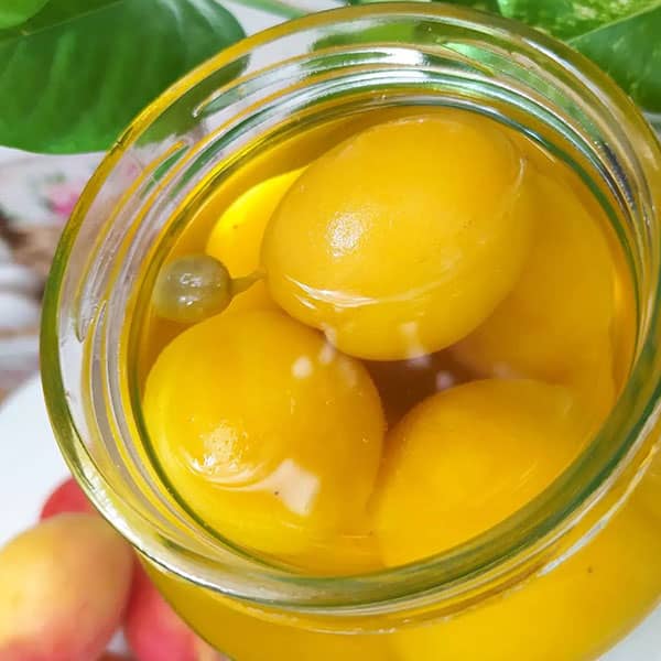 طرز تهیه کمپوت زردآلو