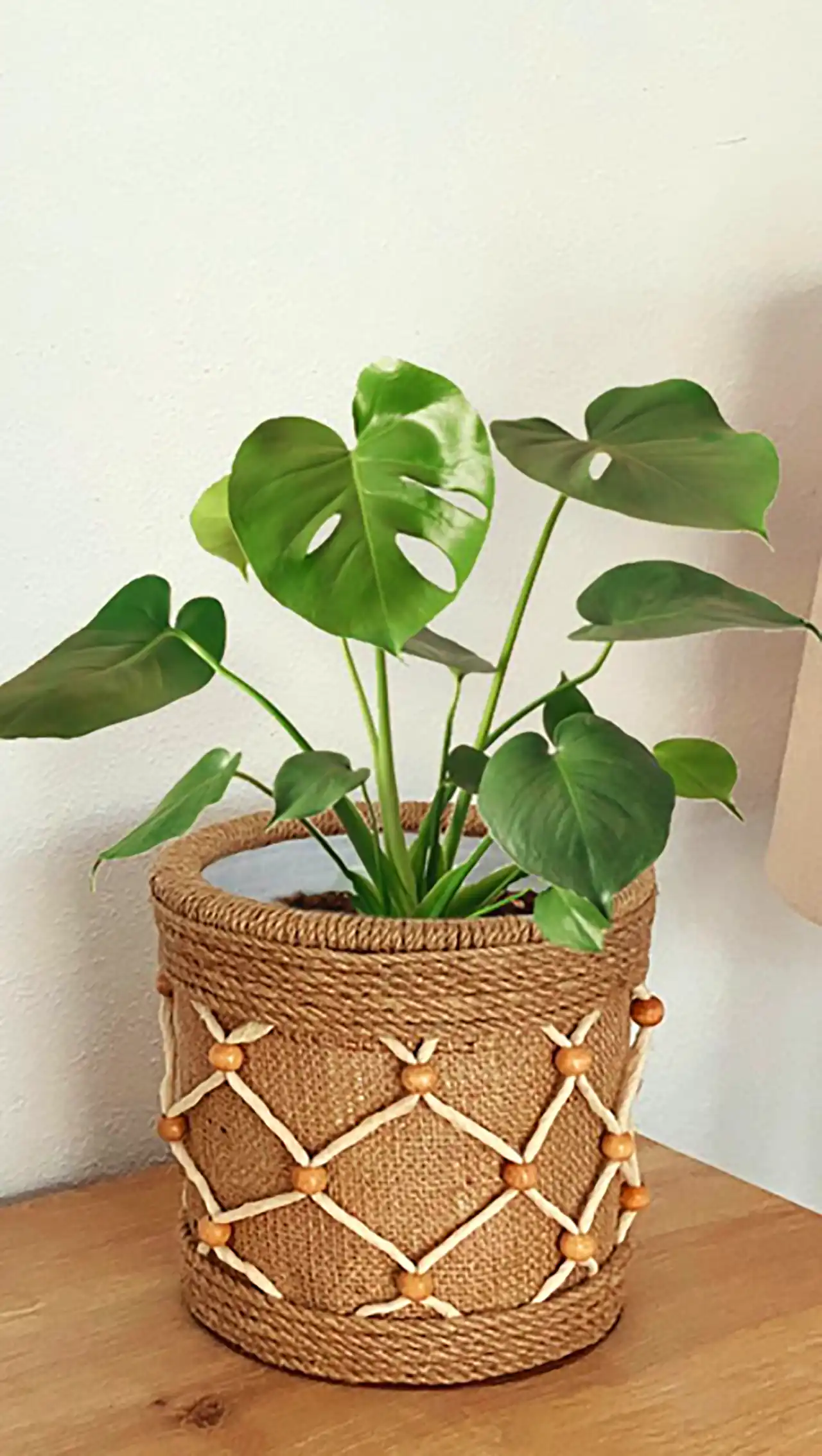 مدل دکور کنفی با طراحی خاص