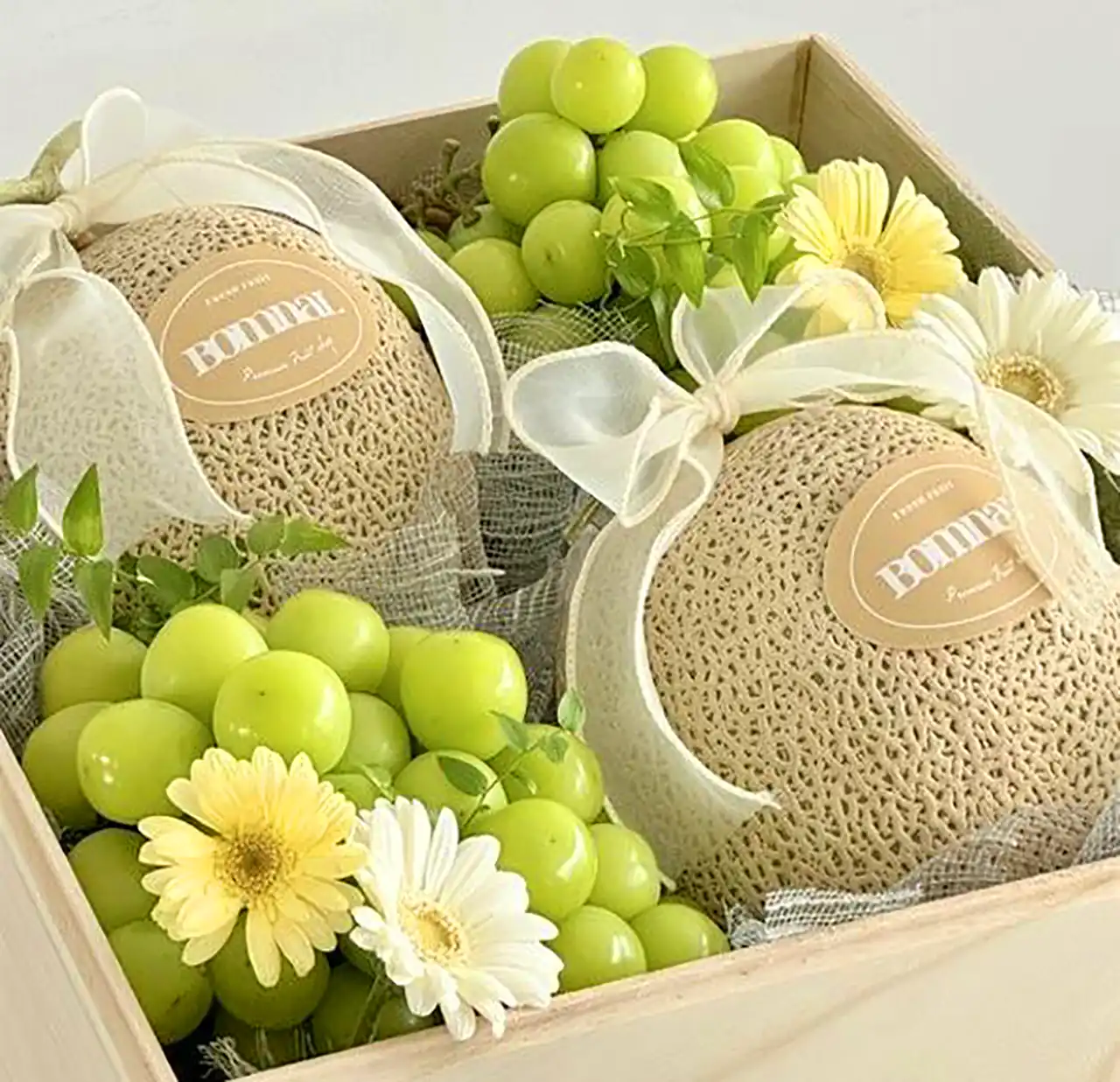 دیزاین میوه برای حنابندون