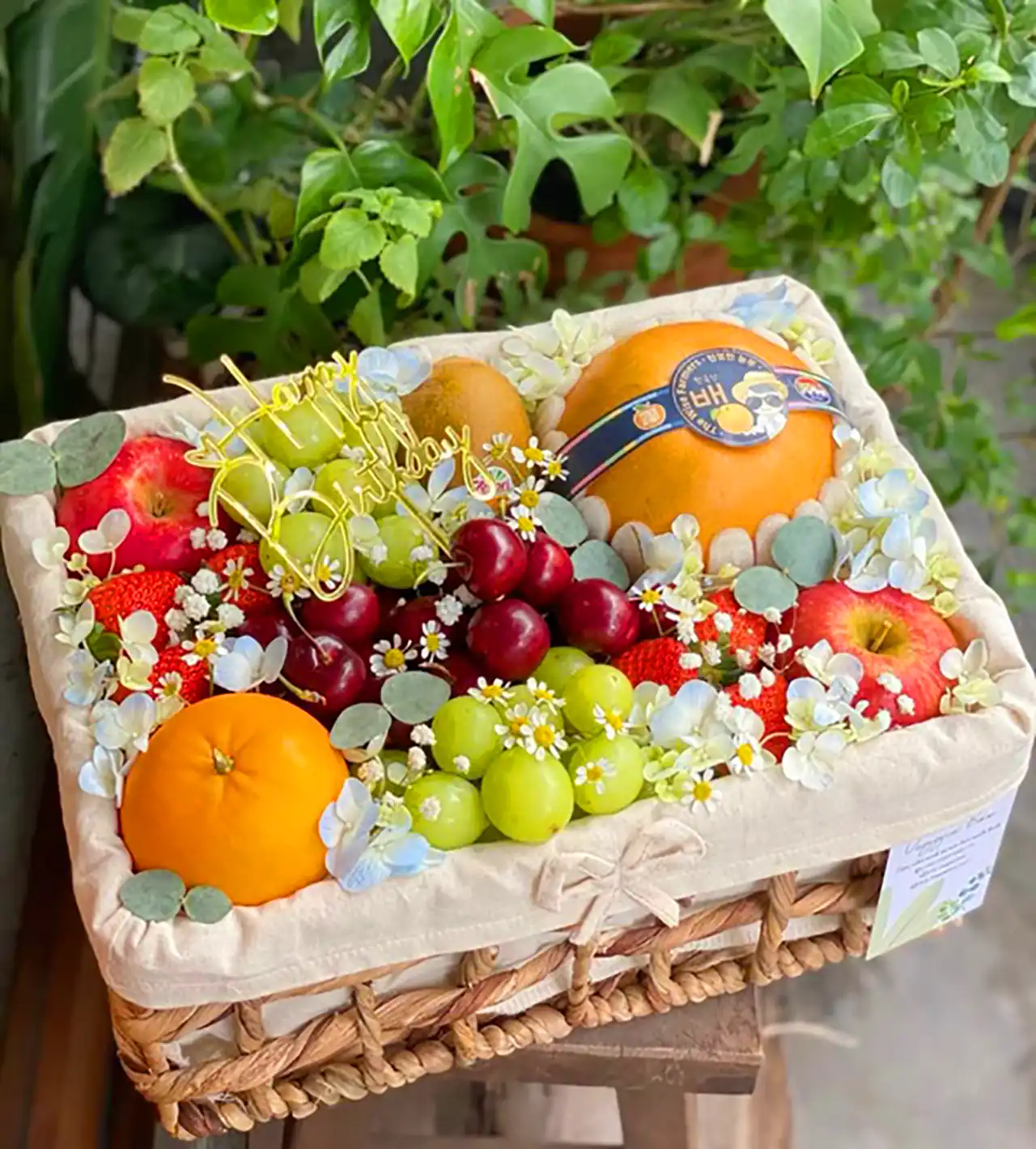 دیزاین میوه برای حنابندون