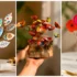 گلدان دکوری رومیزی خلاقانه با مدل های جدید و خاص برای دکوراسیونی متفاوت